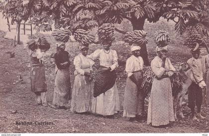 JAMAIQUE(TYPE) BANANE