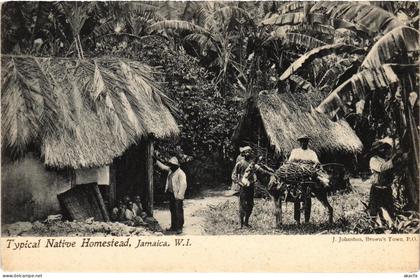 PC JAMAICA TYPICAL NATIVE HOMESTEAD, JAMAICA, W.I. (a79391)