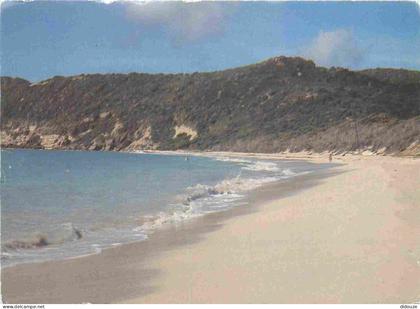 Carte Postale - Saint-Barthélemy - Saint-Barthélemy - Plage des salines côté ouest - CPM - Voir Scans Recto-Verso