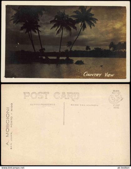 Puerto Rico Allgemein Puerto Rico COUNTRY VIEW Palmen Palms Puerto Rico 1920