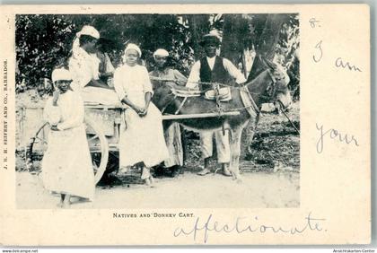 13512035 - Eingeborene Esel Eselkarre Barbados
