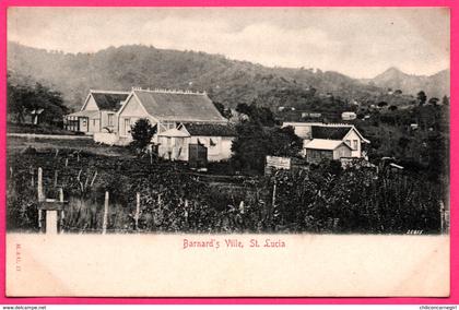 Cpa - Antilles - Barnard's Ville - St Lucia - Sainte Lucie - M. & C. N° 17