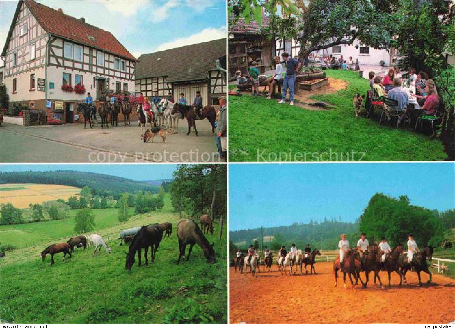 Antrifttal Vogelsbergkreis Hessen Reiterhof Pferde Weide Reitunterricht Fachwerk