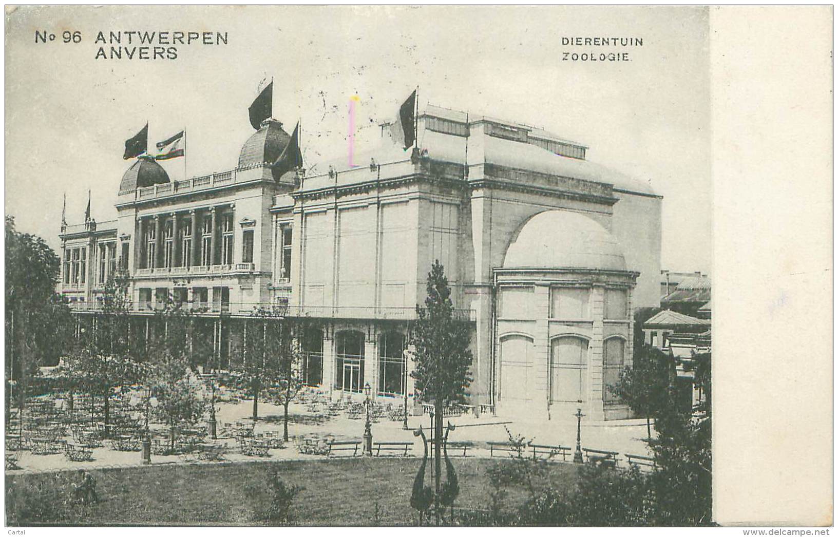 ANTWERPEN - Dierentuin