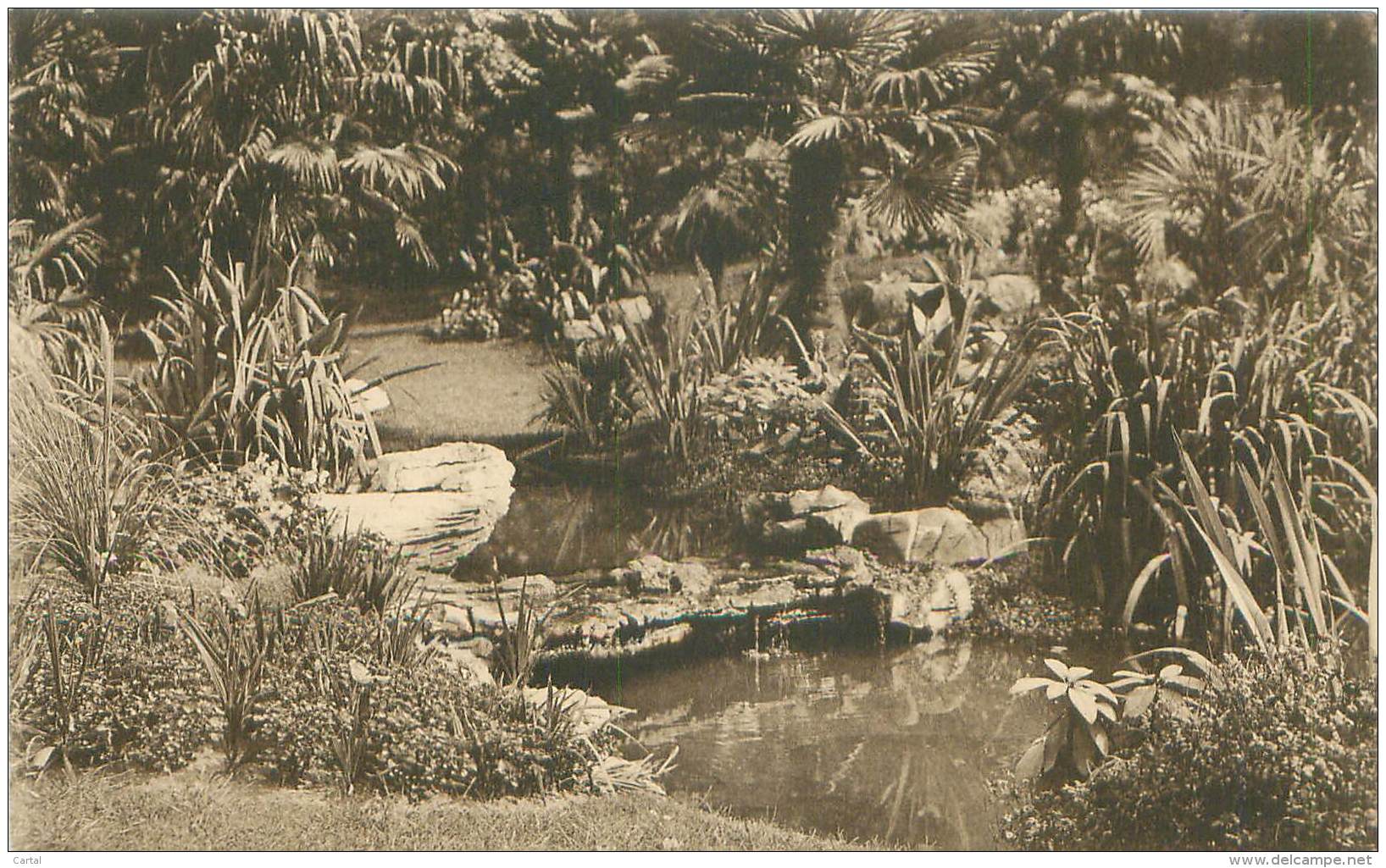 ANTWERPEN - Dierentuin - De Waterval.