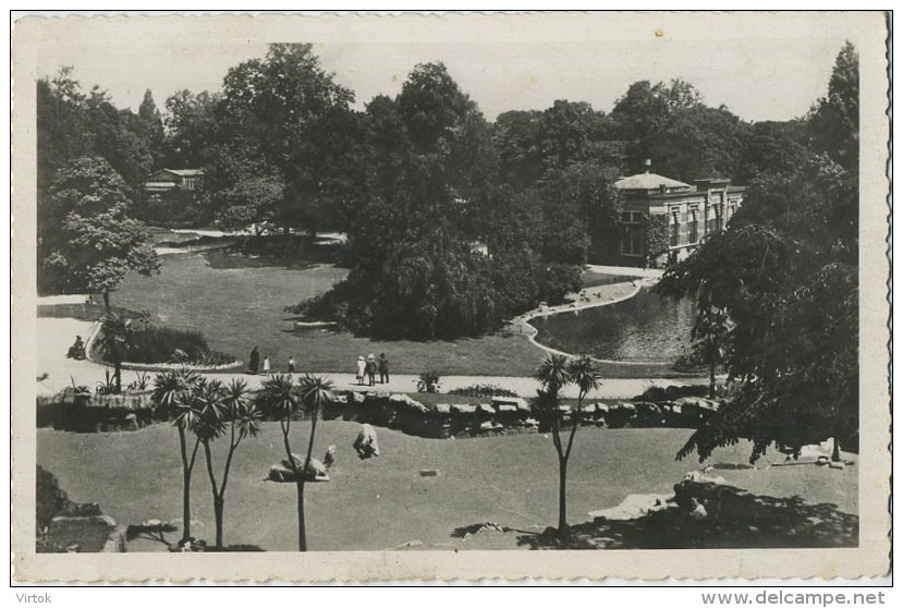Antwerpen : ZOO : Dierentuin
