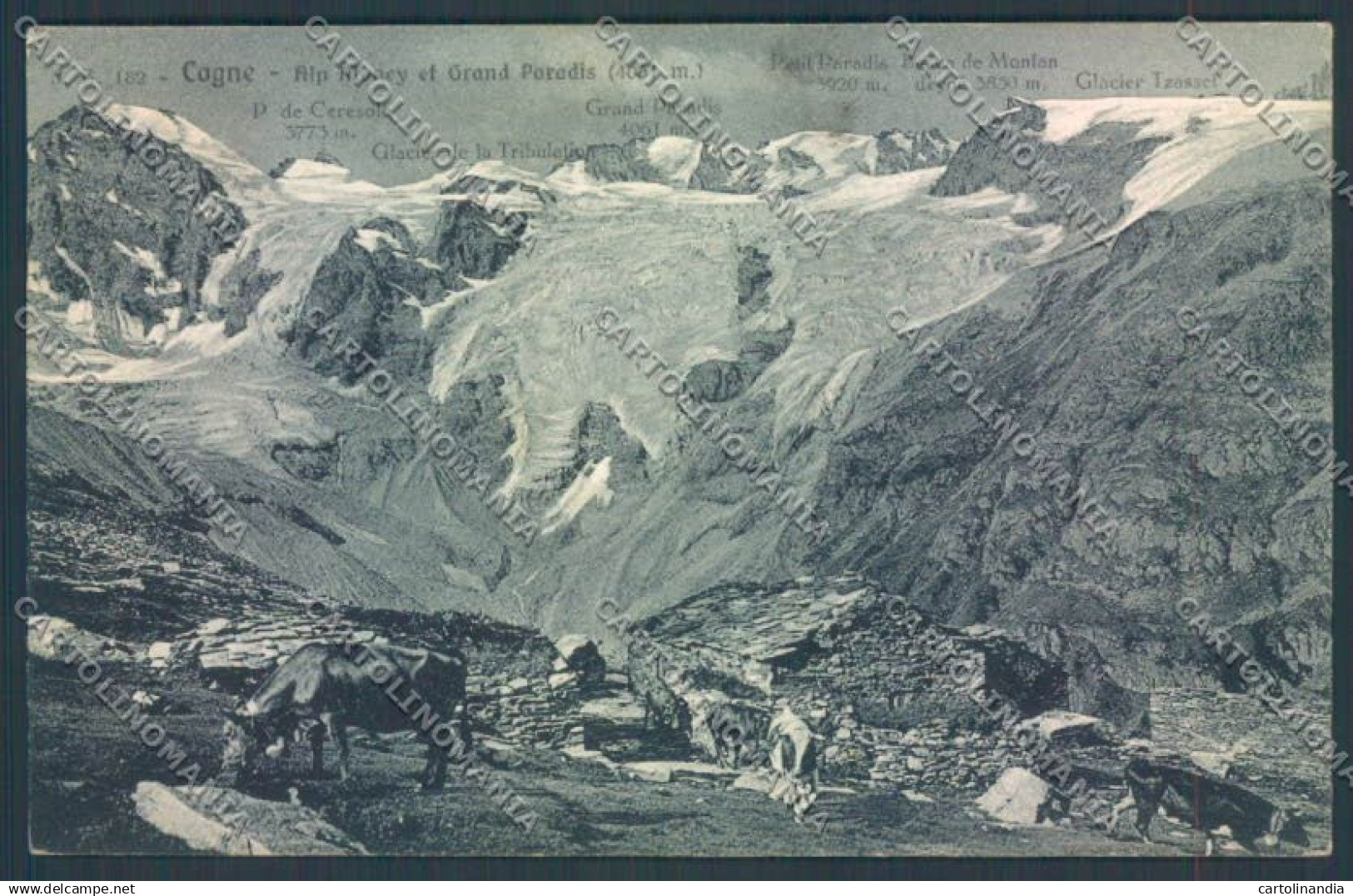 Aosta Cogne cartolina ZQ4578