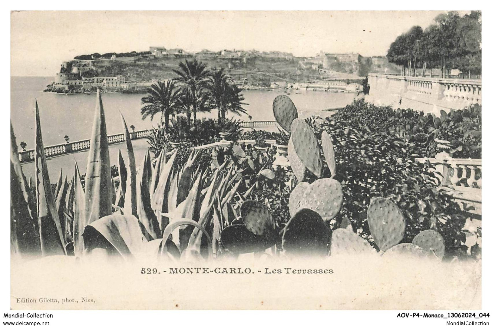 AOVP4-0236-MONACO - MONTE-CARLO - les terrasses