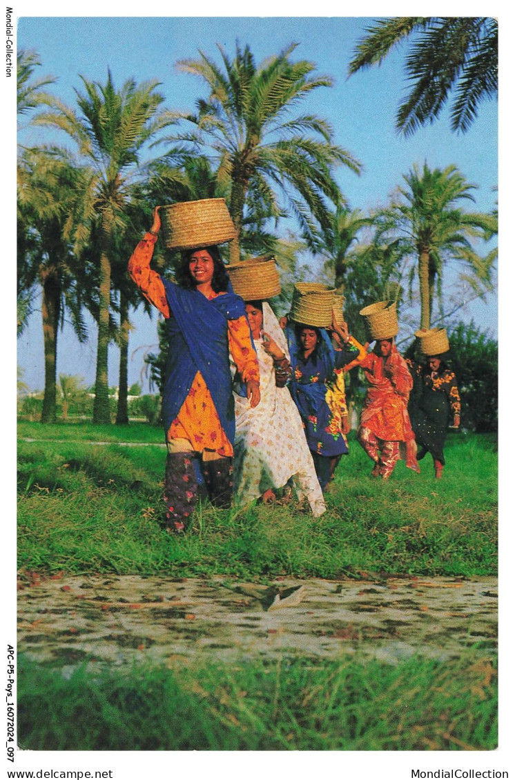 APCP5-0331-BAHRAIN - The date harvest