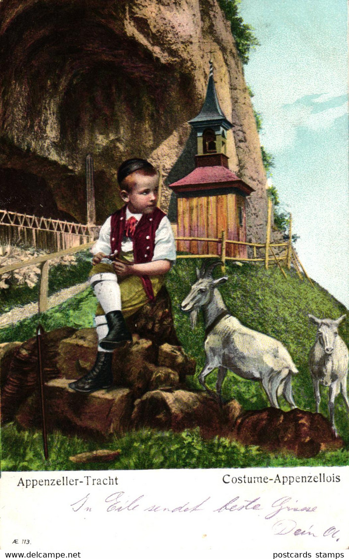 Appenzell, Appenzeller Tracht, Junge mit Ziegen, 1907