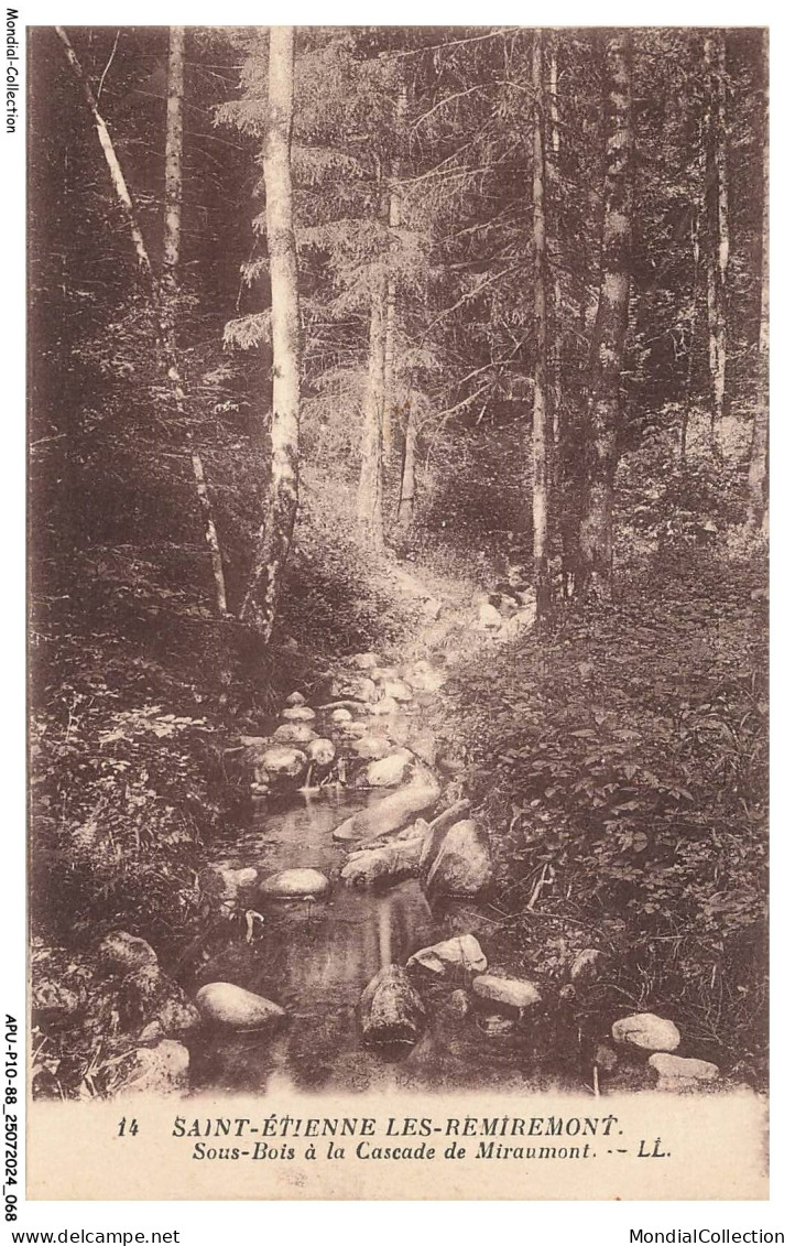 APUP10-0608-88 - SAINT-ETIENNE-DE-REMIREMONT - sousbois à la cascade de miraumont