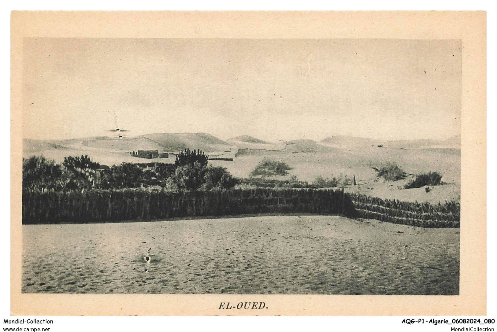 AQGP1-0041-ALGERIE - EL OUED - vue générale