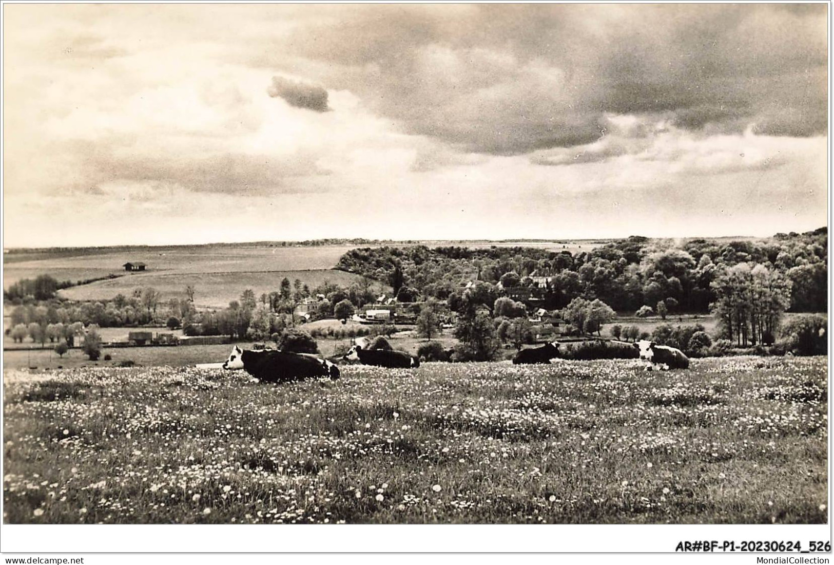 AR#BFP1-27-0264 - HEBECOURT - Pâturages