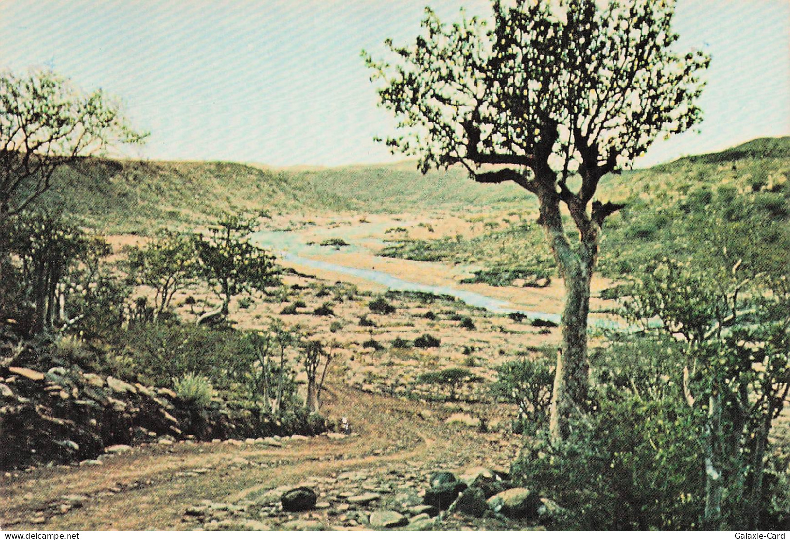 ARABIE SAOUDITE