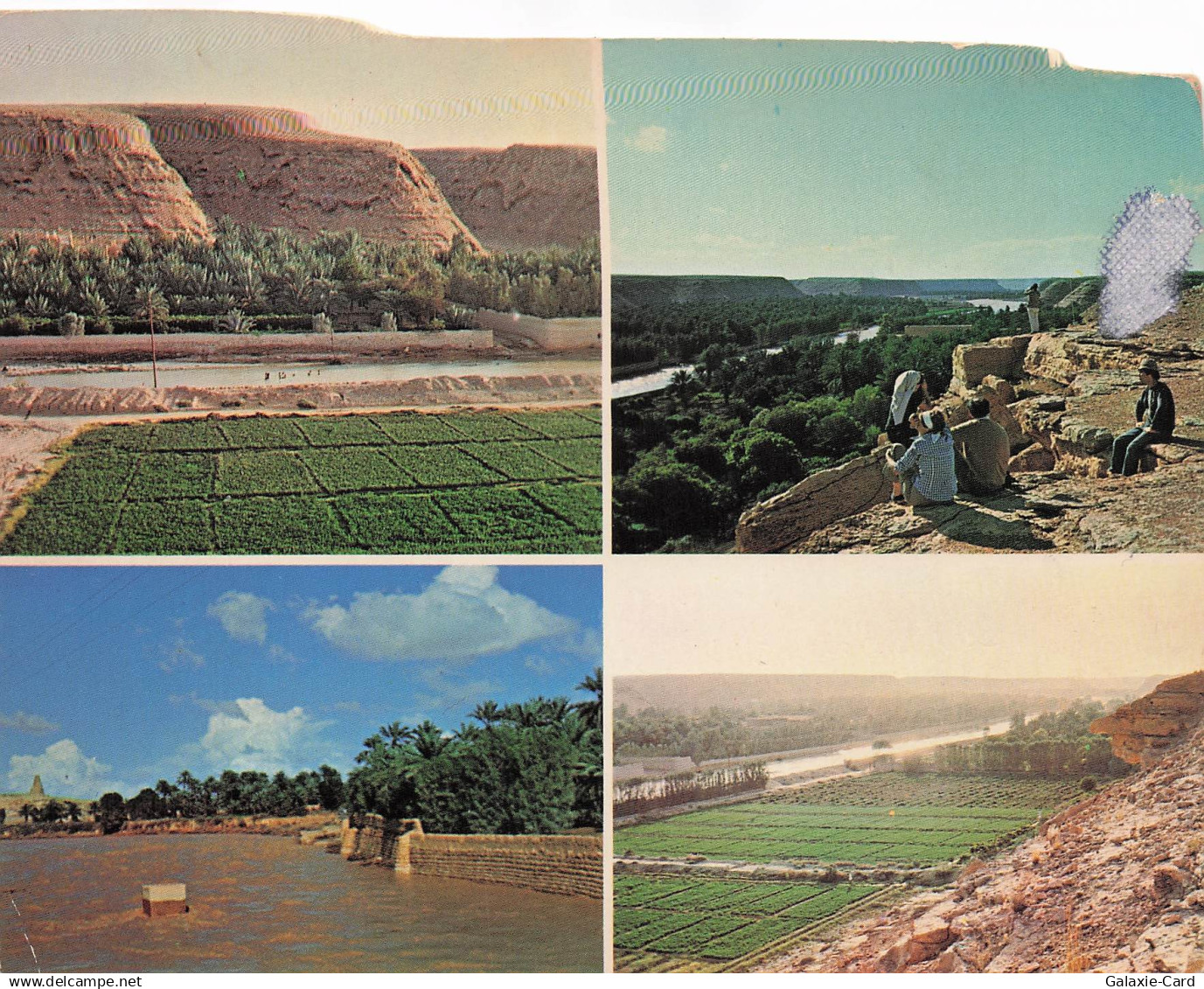 ARABIE SAOUDITE RIYAD WADI HANIFAH