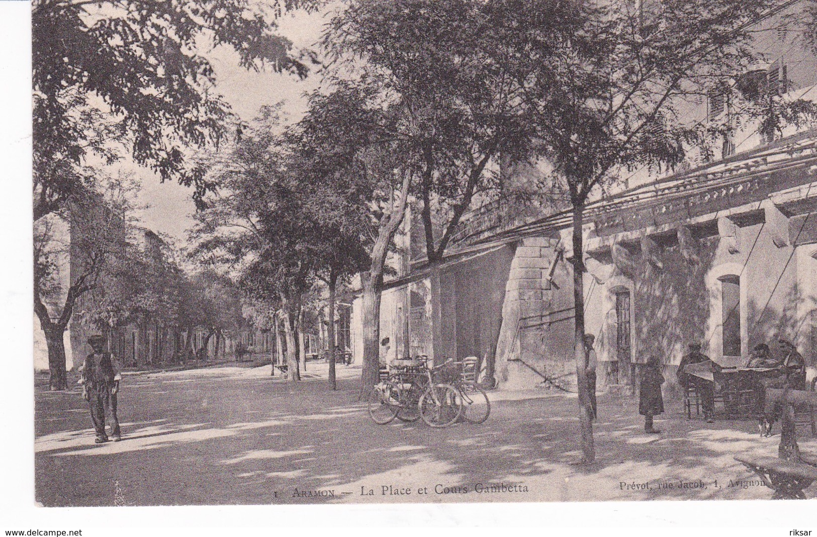 ARAMON(ARBRE)