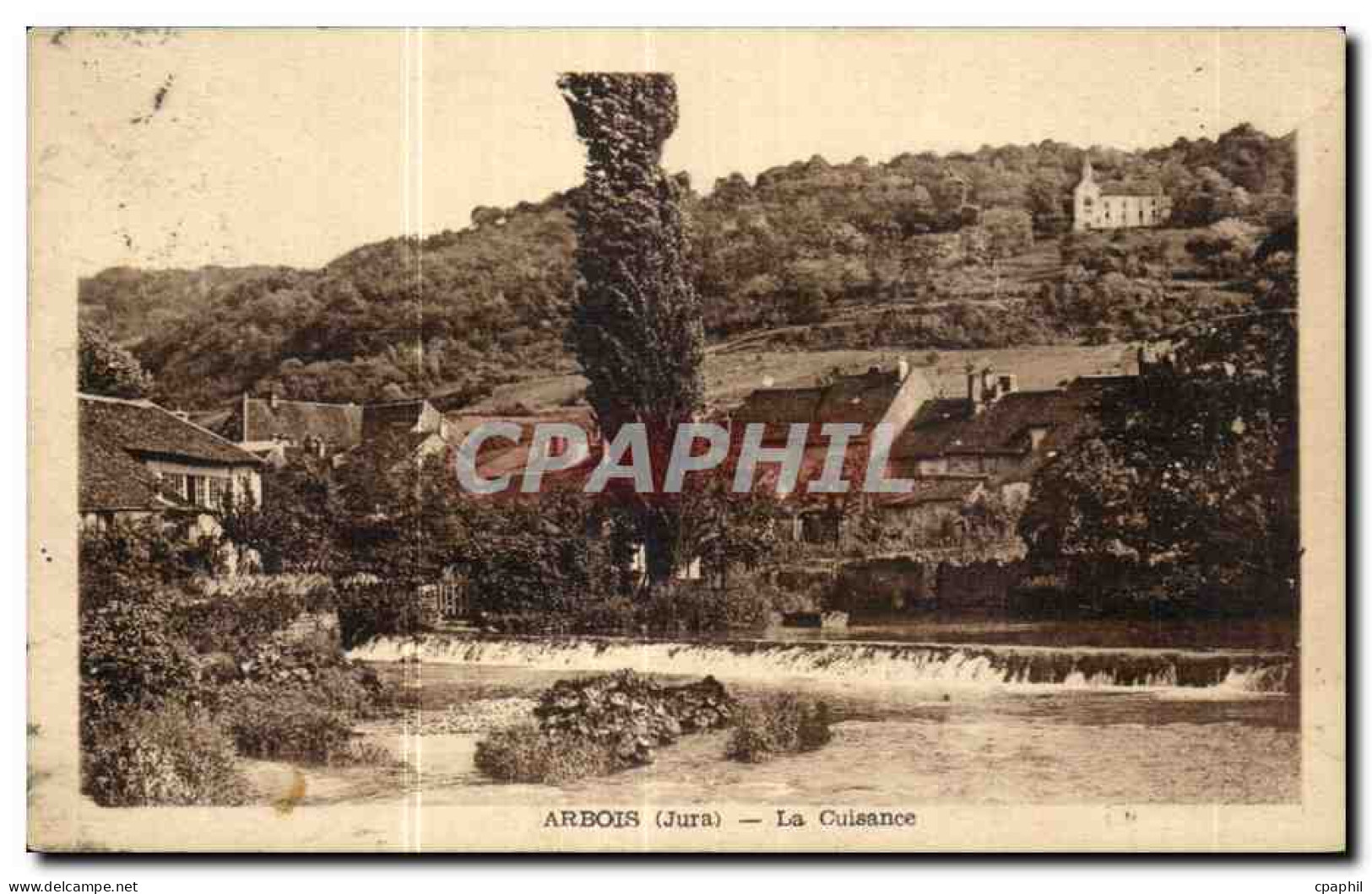 Arbois - La Cuisance - CPA