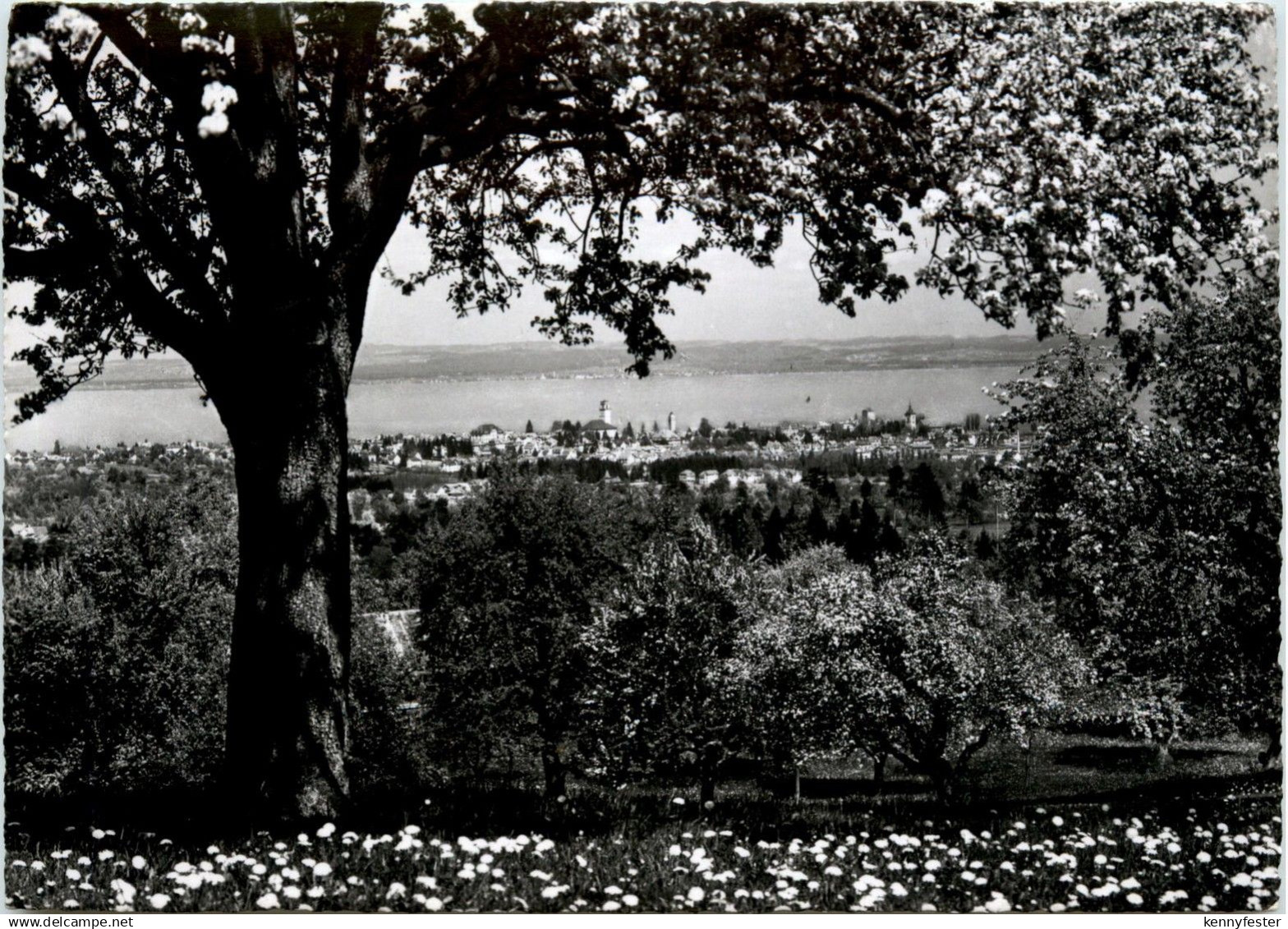 Arbon am Bodensee