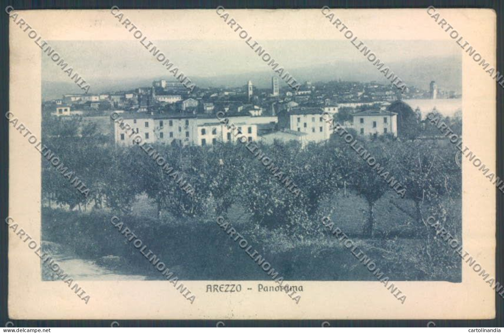 Arezzo città cartolina ZG0809