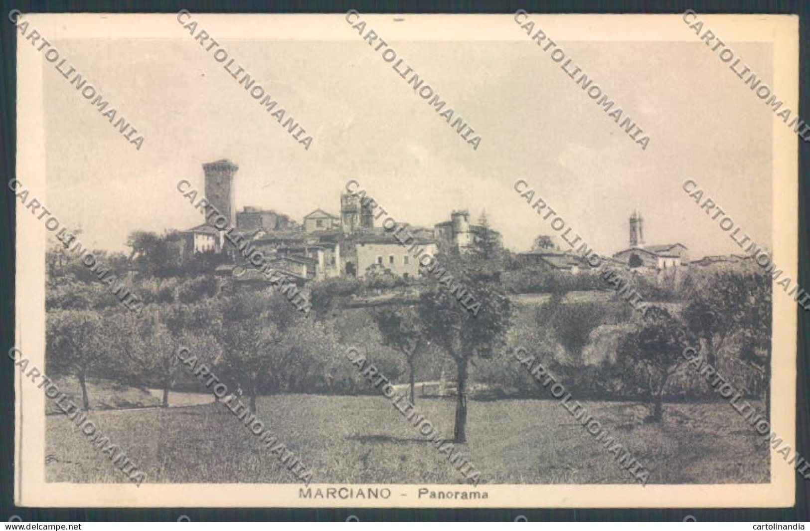 Arezzo Marciano cartolina ZG0898