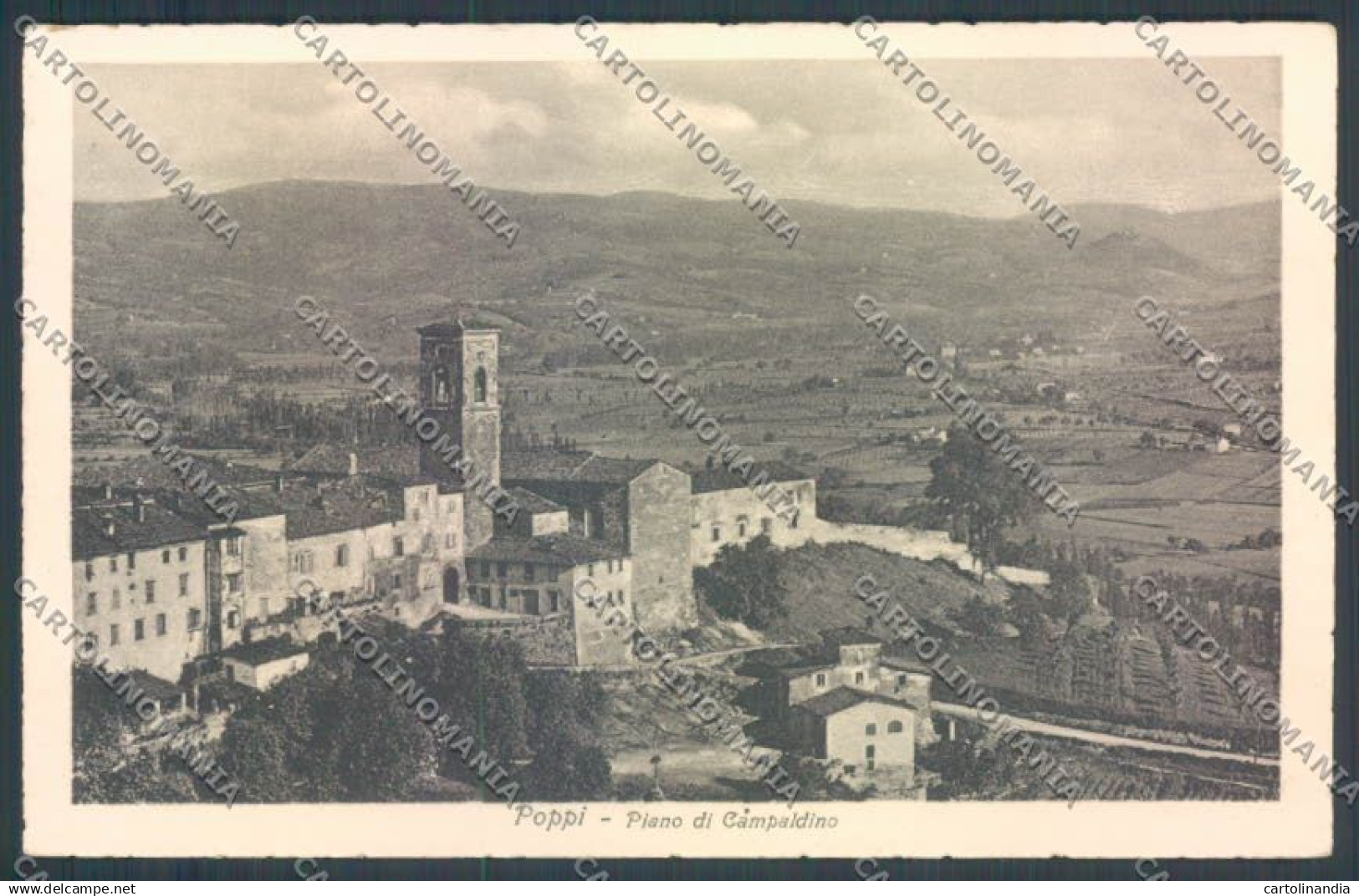 Arezzo Poppi cartolina ZG0937
