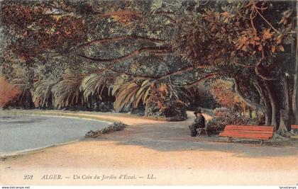 Algeria Algiers Un Coin du Jardin d'Essai vintage postcard