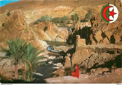 Algérie - Bou Saada - Wilaya de M'sila - CPM - Voir Scans Recto-Verso