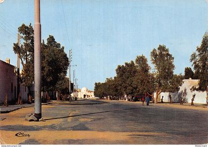 ALGERIE EL OUED OASIS