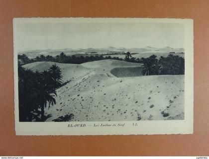 El-Oued Les Jardins du Souf