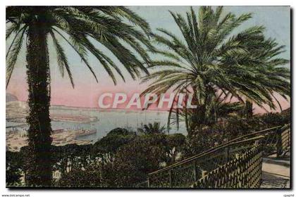 Algerie Oran CPA Palmiers