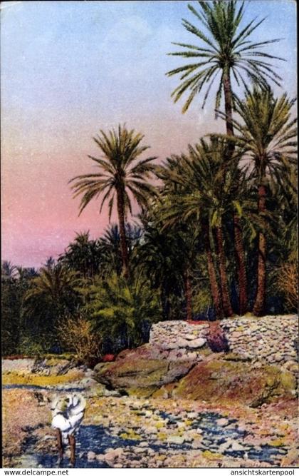 Ak-Szenen und -Typen von Nordafrika, El-Kantara, Riviere