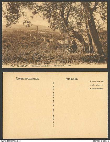 Algeria Old Postcard TLEMCEN Panorama des Ruines de Mansourah Ruins Mosque Walls