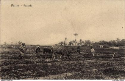 CPA Darna Derna Libyen, Bauern mit abgemagerter Kuh