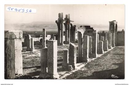 Tébessa – Ruines de la Basilique, la nef – Algérie