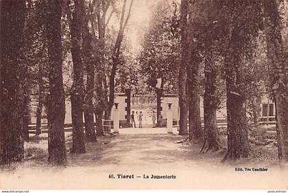Algérie - TIARET - La jumenterie - Ed. Veuve Gauthier 46