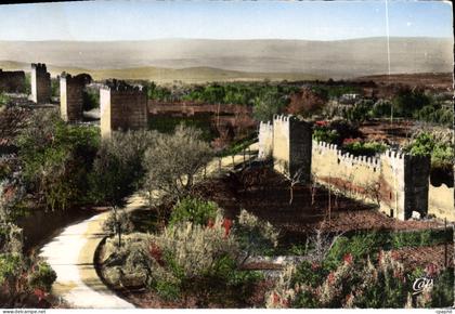 CPA Tlemcen Anciens Remparts de Mansourah