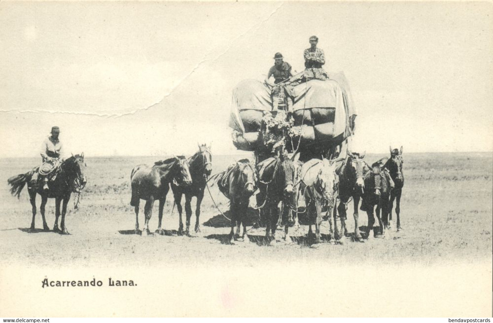 argentina, Acarreando Lana, Carrying Wool (1900s) Postcard