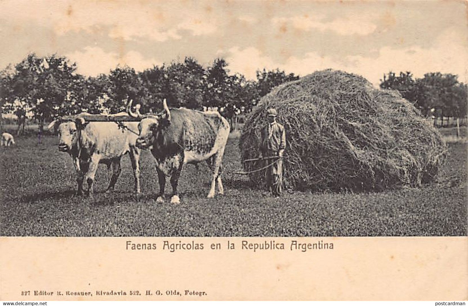 Argentina - Faenas Agricolas - Ed. R. Rosauer 327