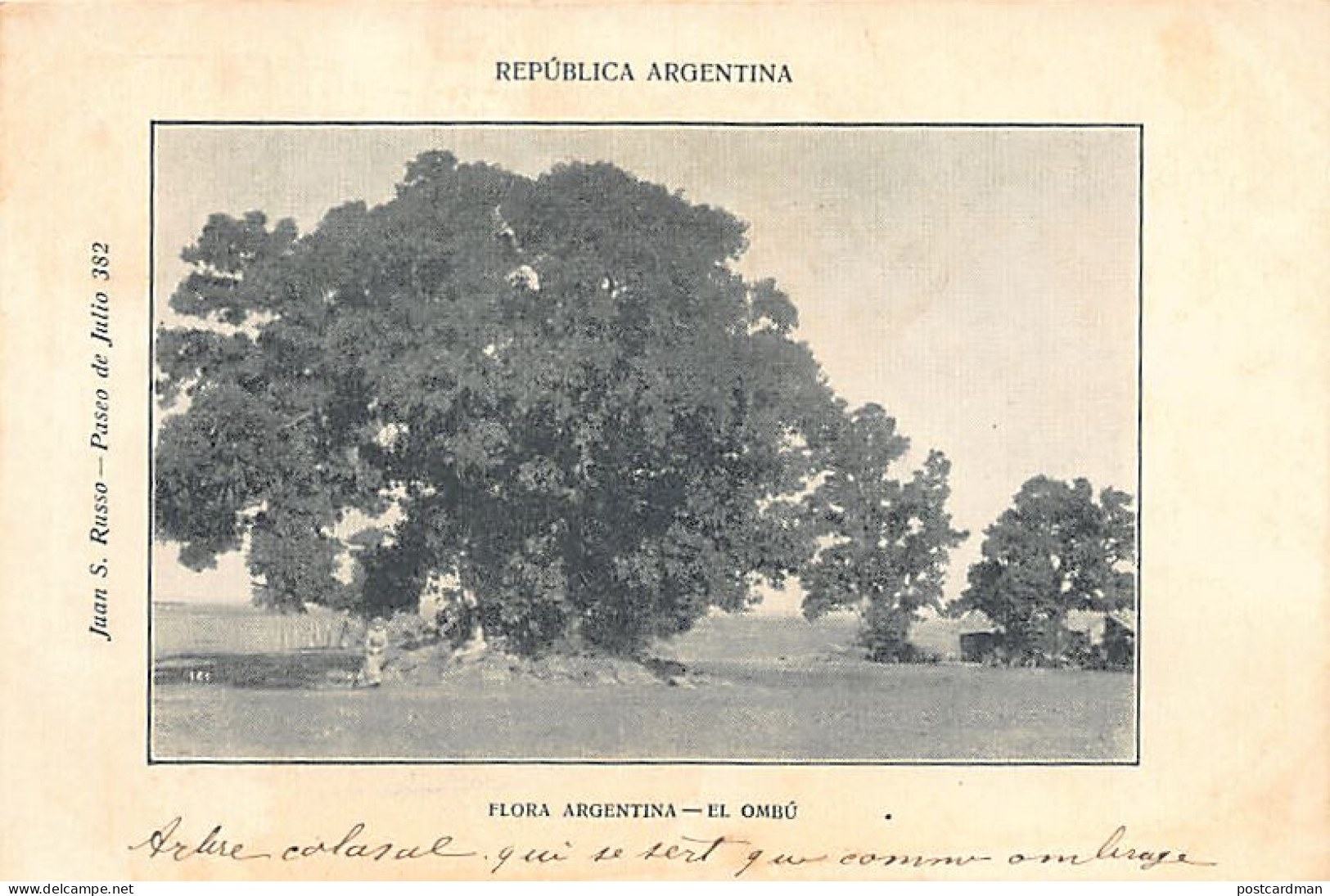 Argentina - Flora Argentina - El Ombú - Ed. Juan S. Russo