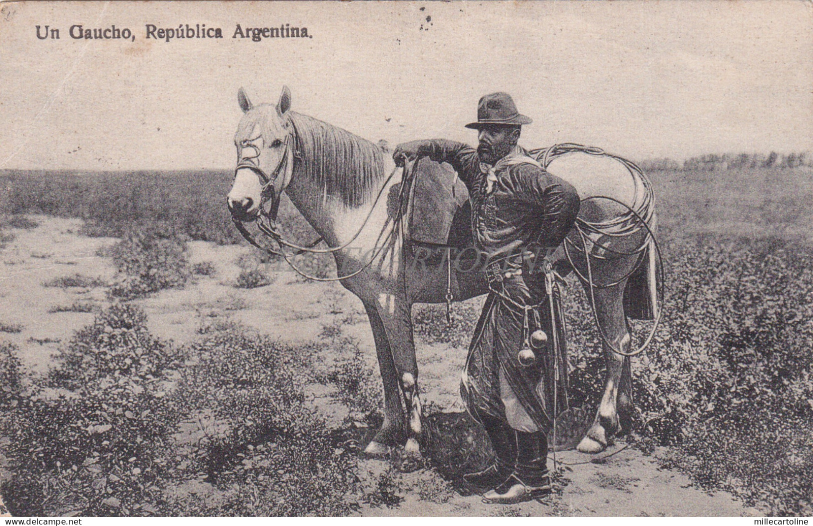 ARGENTINA - Un Gaucho, Postcard