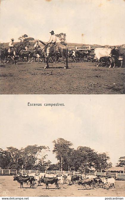 Argentina - Escenas campestres - Ed. desconocido