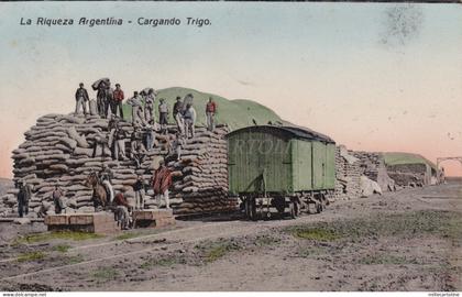 ARGENTINA - La Riqueza Argentina, Cargando Trigo, Postcard 1917