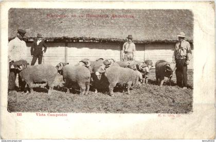 Argentina - Vista Campestre