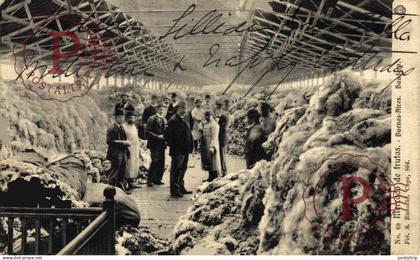ARGENTINA. Buenos Aires, Mercado de fruos. Fot. S. Rimothé. Profesiones Proffesions