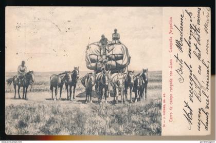 CARRO DE CAMPO CARGADO CON LANA   CAMPANA ARGENTINA