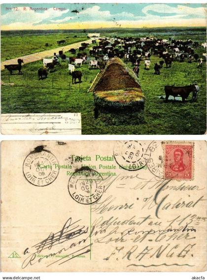 CPA ARGENTINA-Argentina, Campo (349871)