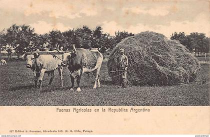 Argentina - Faenas Agricolas - Ed. R. Rosauer 327