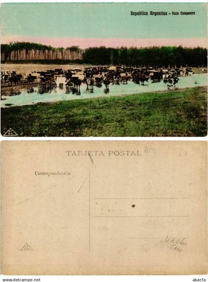 CPA ARGENTINA-Republica Argentina-Vista Campestre (349657)