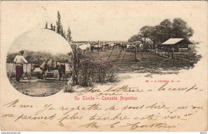 CPA ARGENTINA Un Tambo Campana Argentina (1057993)