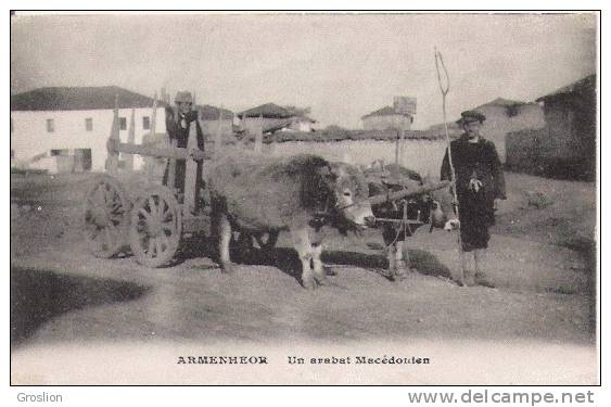 ARMENEHOR UN ARABAT MACEDONIEN (ATTELAGE DE BOEUFS BEAU PLAN)1918